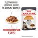 Влажный корм для взрослых кошек Royal Canin Hair & Skin Care в соусе для поддержания здоровья кожи и блеска шерсти, 85 г 00-00001656 фото 2