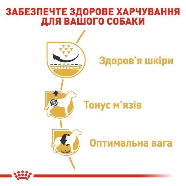 Сухий корм для дорослих собак породи мопс (віком від 10 місяців) Royal Canin (Роял Канін) Pug Adult, 1,5 кг 00-00018528 фото