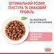 Вологий корм для стерилізованих кошенят Royal Canin (Роял Канін) Kitten Sterilised у соусі, 85 г 00-00008128 фото 2