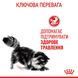 Влажный корм для взрослых кошек Royal Canin Digest Sensitive Care в соусе для кошек с чувствительным пищеварением, 85 г 00-00001657 фото 5