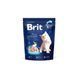Сухий корм для кошенят (віком від 1 до 12 місяців) Brit Premium (Бріт Преміум) Cat Kitten із куркою, 1,5 кг 00-00001404 фото 2
