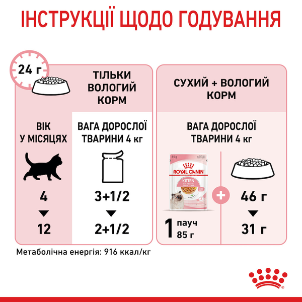 Вологий корм для кошенят другої фази росту (від 4 до 12 місяців) Royal Canin Kitten у желе, 85 г 00-00001665 фото