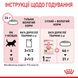 Вологий корм для кошенят другої фази росту (від 4 до 12 місяців) Royal Canin Kitten у желе, 85 г 00-00001665 фото 3