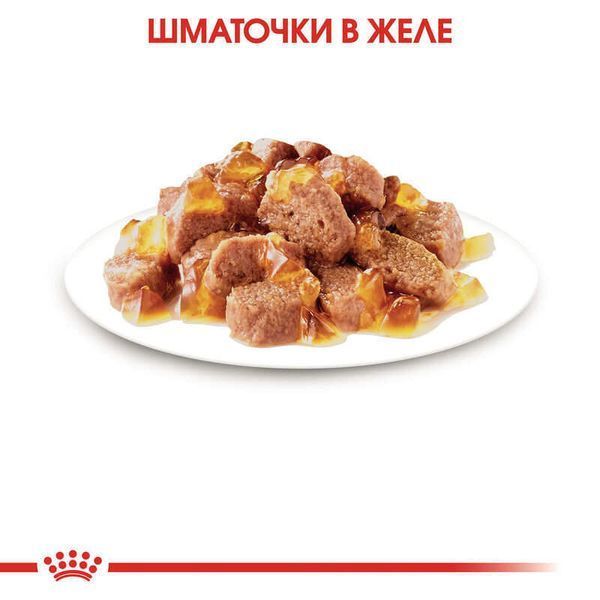 Вологий корм для дорослих стерилізованих котів Royal Canin Sterilised у желе, 85 г 00-00001666 фото