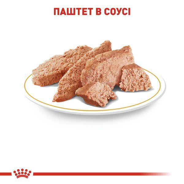 Royal Canin Yorkshire Adult вологий корм для собак породи йоркширський тер'єр, 85 г 00-00001441 фото