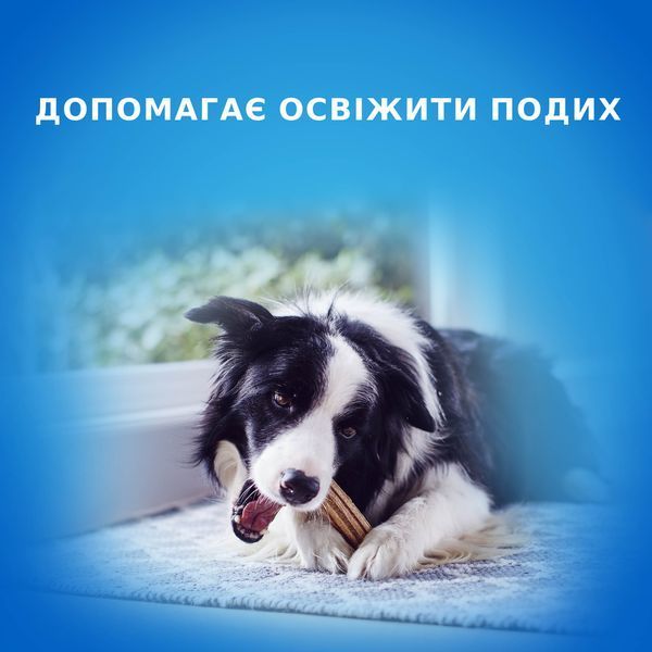 Ласощі для собак Purina DentaLife Small для середніх порід, для підтримки здоров'я порожнини рота, 115 г СП-00001348 фото