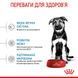 Royal Canin Maxi Puppy сухой корм для щенков крупных пород от 2 месяцев, 15 кг 00-00018665 фото 7