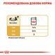Влажный корм для собак породы чихуахуа Royal Canin Chihuahua Adult паштет 85 г 00-00001443 фото 3