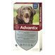 Капли Bayer Advantix (Адвантікс) от блох и клещей для собак более 25 кг, 4 пипетки по 4 мл 00-00001674 фото 1