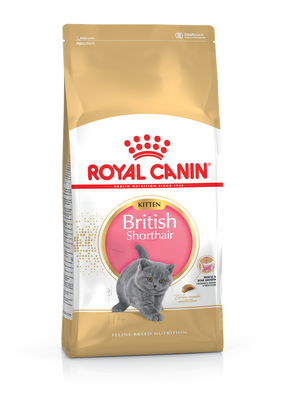 Корм сухий Royal Canin KITTEN BRIT SHORT для кошенят Британської короткошерстої породи 400 г - 2 кг, 400 г 2566020 фото