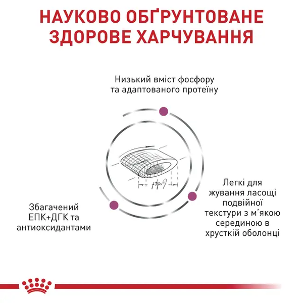 Сухий корм Royal Canin Renal Select (для підтримки функції нирок), 2 кг 00-00019188 фото