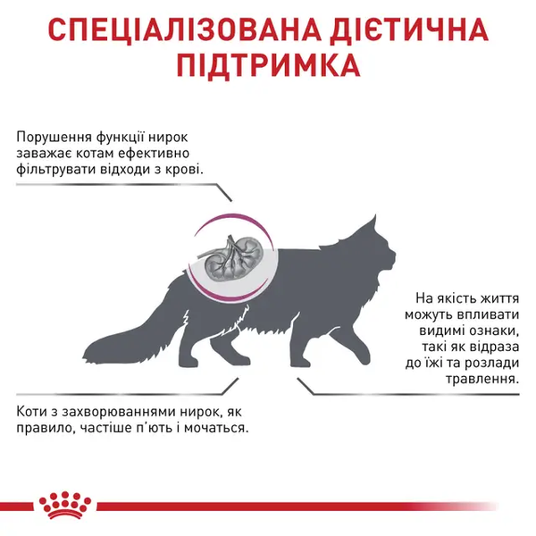 Сухий корм Royal Canin Renal Select (для підтримки функції нирок), 2 кг 00-00019188 фото