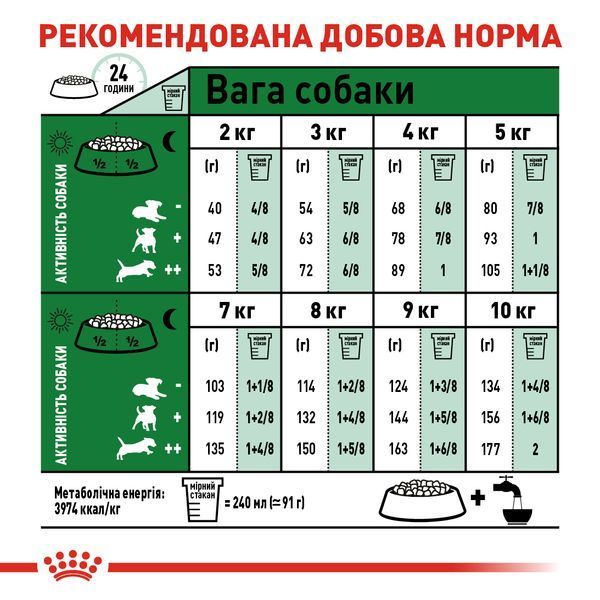 Сухой корм для собак малых пород(весом до 10 кг) старше 8 лет Royal Canin (Роял Канин) Mini Adult 8+, 800 г 00-00009794 фото