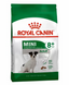 Сухой корм для собак малых пород(весом до 10 кг) старше 8 лет Royal Canin (Роял Канин) Mini Adult 8+, 800 г 00-00009794 фото 5