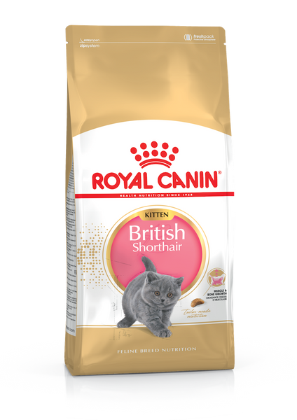 Корм сухий Royal Canin KITTEN BRIT SHORT для кошенят Британської короткошерстої породи 400 г - 2 кг, 2 кг 2566020 фото