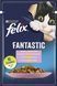 Вологий корм для дорослих котів Felix (Фелікс) Fantastic зі шматочками форелі та зеленими бобами в желе, 85 г 00-00004025 фото 1
