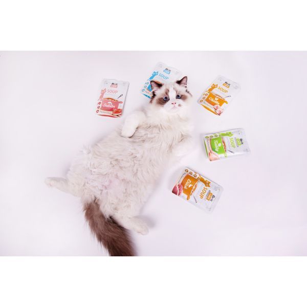 Brit Care вологий корм-суп для котів, з індичкою, 75 г 00-00017268 фото