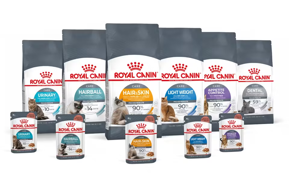 Royal_canin